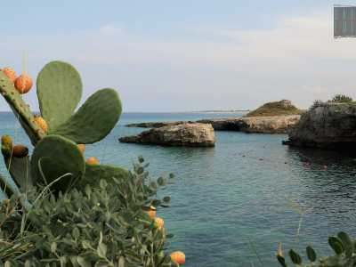 La chiesa si trova quasi dirimpetto alla spiaggia di Porto Giardino, a Capitolo